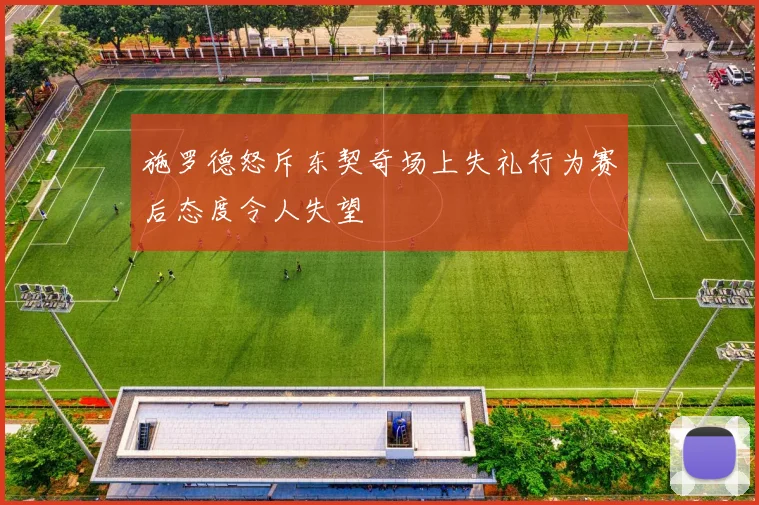 施罗德怒斥东契奇场上失礼行为赛后态度令人失望